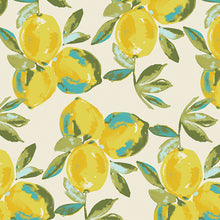 Load image into Gallery viewer, Sage Yuma Lemons Mist Canvas
